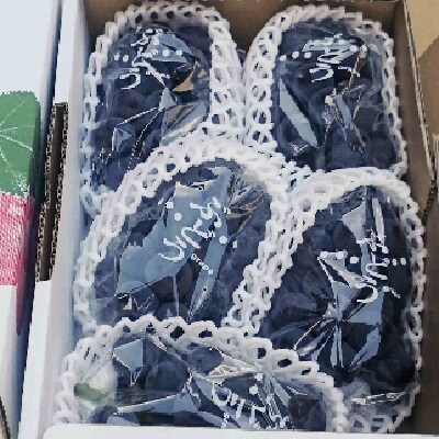 ぶどう(ピオーネ)3kg　0009-2604