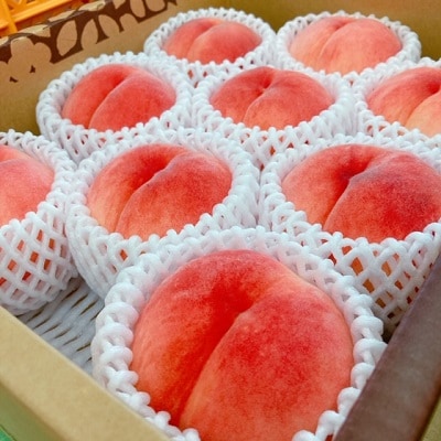 桃(川中島白桃)2.5kg　特秀品　0047-2502