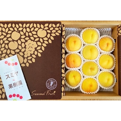 桃(黄金桃)2.5kg　特秀品　0047-2606