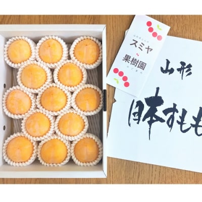 すもも(峰満イエロー)2kg　特秀品　0047-2309 | ふるさと納税のお礼品