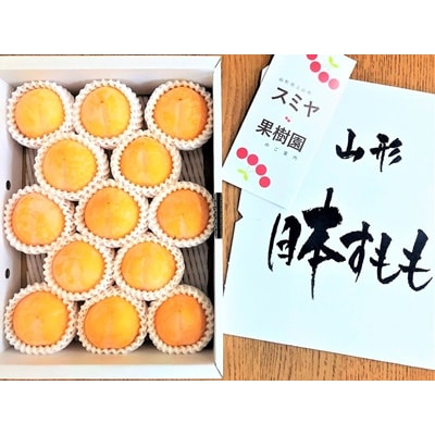 すもも(峰満イエロー)2kg　特秀品　0047-2505