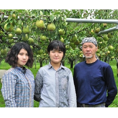西洋梨(ラ・フランス)6kg(3kg×2箱)　ご家庭用　0047-2512