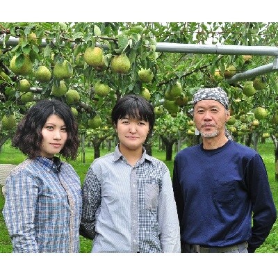 西洋梨(ラ・フランス)6kg(3kg×2箱)　ご家庭用　0047-2613