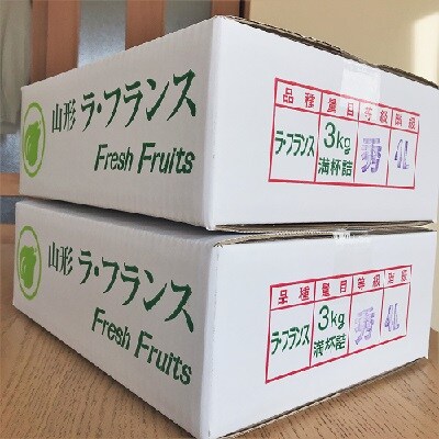 西洋梨(ラ・フランス)6kg(3kg×2箱)　ご家庭用　0047-2613