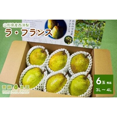 西洋梨(ラ・フランス)6玉　0037-2606