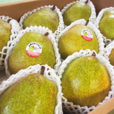 西洋梨(ラ・フランス)3kg　特秀品　化粧箱詰め　0037-2507
