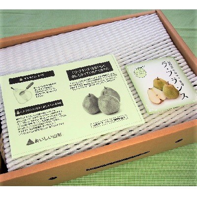 西洋梨(ラ・フランス)3kg　特秀品　化粧箱詰め　0037-2507