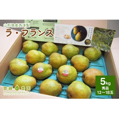 西洋梨(ラ・フランス)5kg　0037-2509