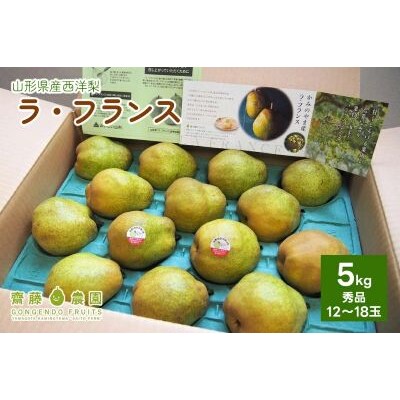 西洋梨(ラ・フランス)5kg　0037-2610