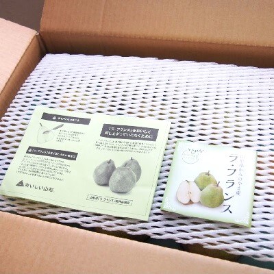 西洋梨(ラ・フランス)5kg　0037-2610