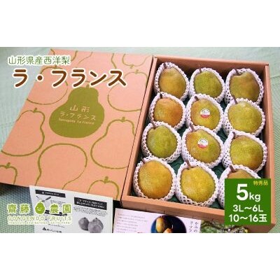 西洋梨(ラ・フランス)5kg　特秀品　化粧箱詰め　0037-2611