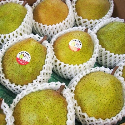西洋梨(ラ・フランス)5kg　特秀品　化粧箱詰め　0037-2611