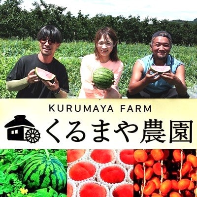 【フルーツ王国直送!】山形の小玉すいか(ひとりじめBONBON)1個　0033-2601