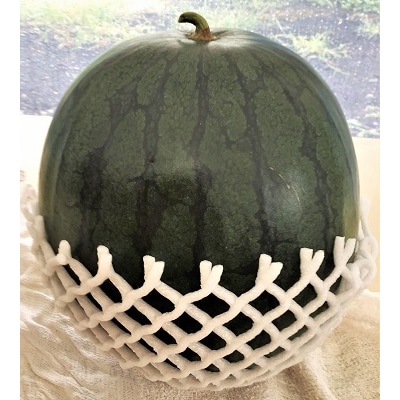 【フルーツ王国直送!】山形の小玉すいか(ひとりじめBONBON)1個　0033-2601