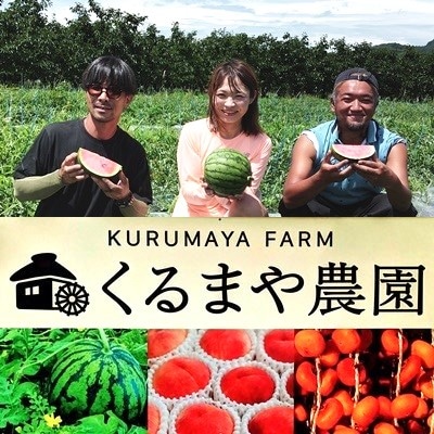 【フルーツ王国直送!】山形の小玉すいか(ひとりじめBONBON)2個　0033-2602