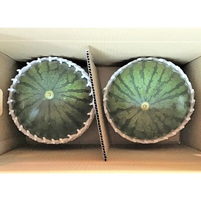 【フルーツ王国直送!】山形の小玉すいか(ひとりじめBONBON)2個　0033-2602