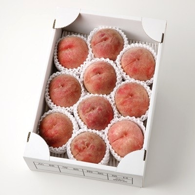 【フルーツ王国直送!】山形旬の桃　3kg(品種おまかせ)いずれか1品種　0033-2606