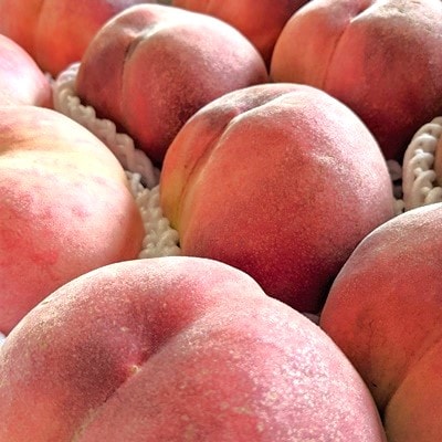 【フルーツ王国直送!】山形旬の桃　3kg(品種おまかせ)いずれか1品種　0033-2606