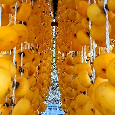 干し柿(蔵王つるし)32果　0033-2609