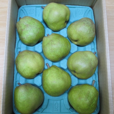 西洋梨(ラ・フランス)3kg　ご家庭用　0110-2505