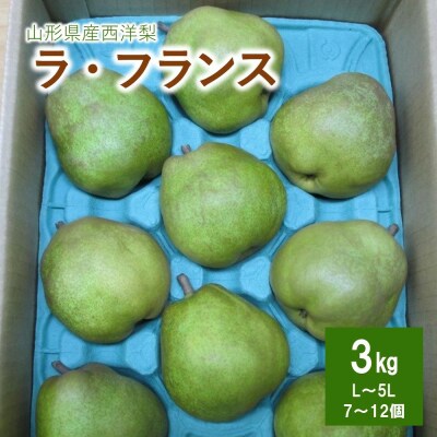 西洋梨(ラフランス)3kg　ご家庭用　0110-2602
