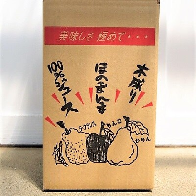 【2027年2月～発送】がまずみジュース(りんご入り)500ml×4本　0075-2617