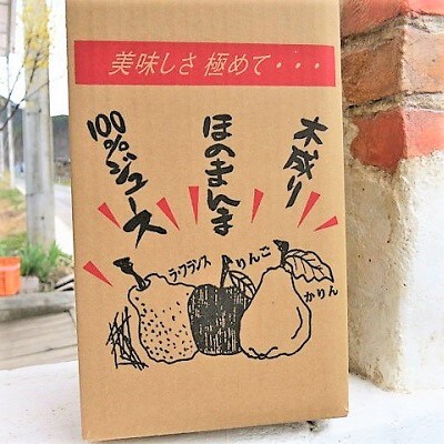 【2027年2月～発送】サンふじとラ・フランス100%ジュース詰合せ　4本　0075-2616