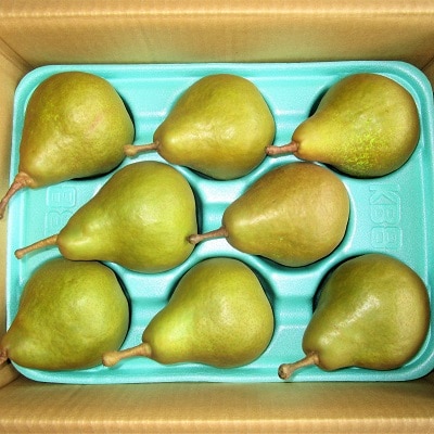 西洋梨(オーロラ)3kg　特秀品　0025-2607