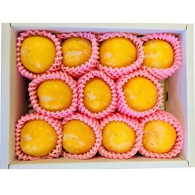 プラム ゴールド秋姫 1 5kg 特秀品 0106 06 お礼品詳細 ふるさと納税なら さとふる