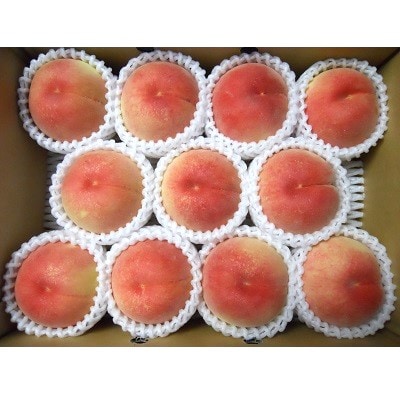 山形の旬の桃(品種おまかせ)3kg　0017-2603