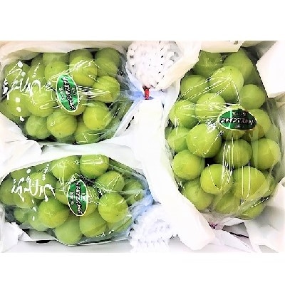 ぶどう(シャインマスカット)2kg　0017-2612