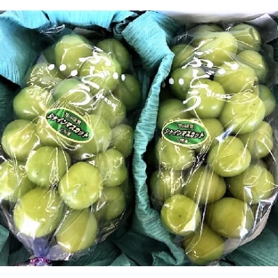 ぶどう(シャインマスカット)2kg　0017-2612