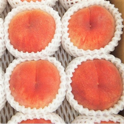 桃(あかつき)6～11玉【3kg箱に2.7～3.3kg詰め】　0056-2614