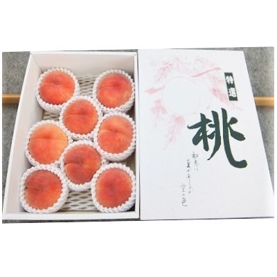 桃(あかつき)6～11玉【3kg箱に2.7～3.3kg詰め】　0056-2614