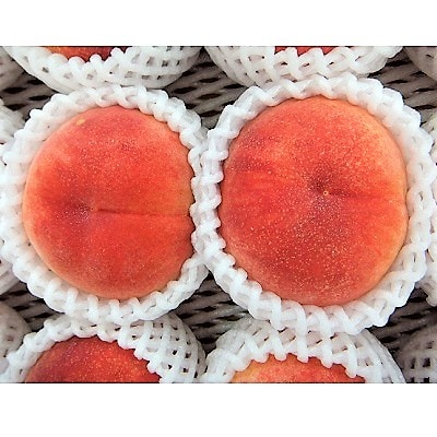 桃(川中島)6～11玉【3kg箱に2.7～3.3kg詰め】　0056-2616