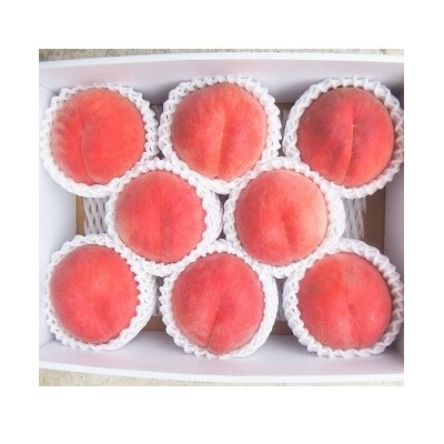 ()6`11ʁy3kg2.7`3.3kgl߁z@0056-2617