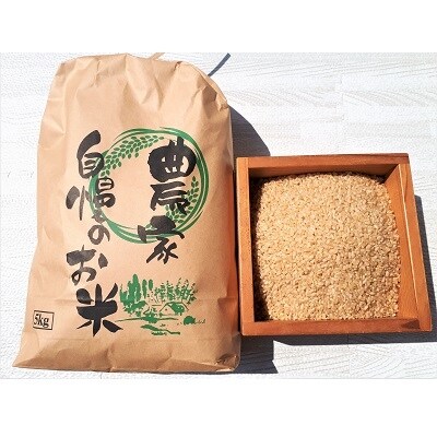 【令和4年産 10月~発送】はえぬき(玄米)5kg 0056-2229