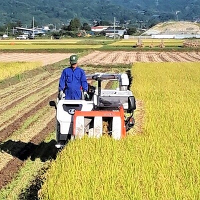 【2026年9月中旬～発送】令和8年産　はえぬき(玄米)10kg　0056-2627