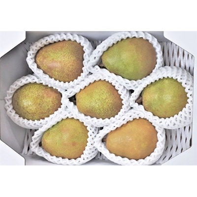 西洋梨(ラ・フランス)2kg　特秀品　0056-2618