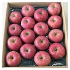 りんご(サンふじ)5kg　13～18玉　0056-2520