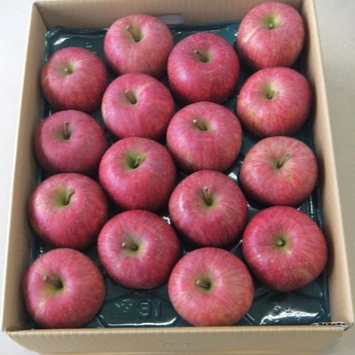 りんご(サンふじ)5kg　13～18玉　0056-2621