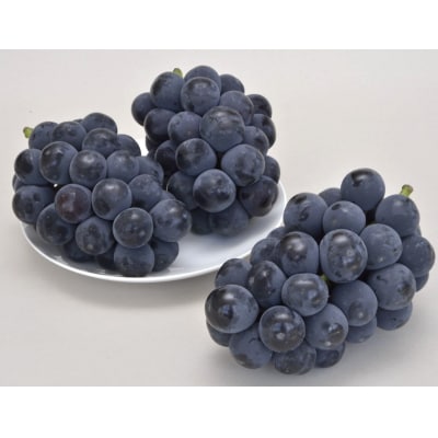 ぶどう(種なしピオーネ)2～3房　0030-2612