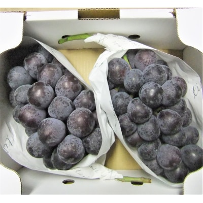 ぶどう(種なしピオーネ)2～3房　0030-2612