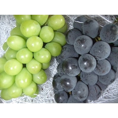 シャインマスカットとピオーネの詰合せ1.4kg以上　0030-2626