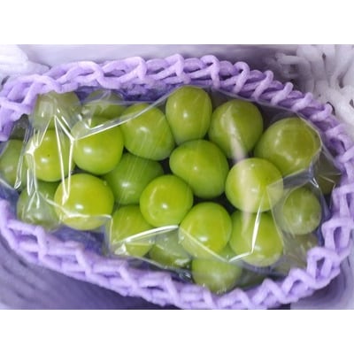 ぶどう(シャインマスカット)1房　0030-2627