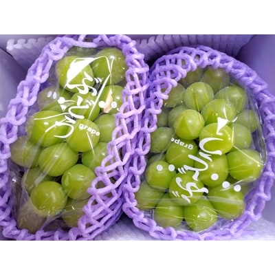 ぶどう(シャインマスカット)2房　0030-2628