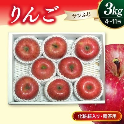 りんご(サンふじ)3kg　贈答用　0030-2631