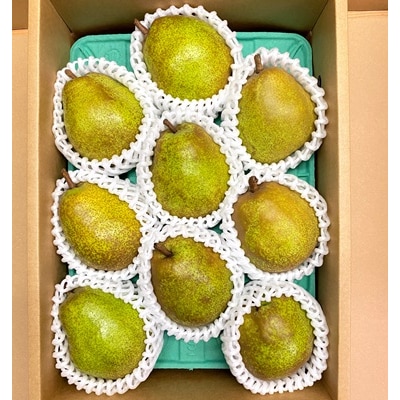 西洋梨(ラ・フランス)3kg　特秀品　0065-2608