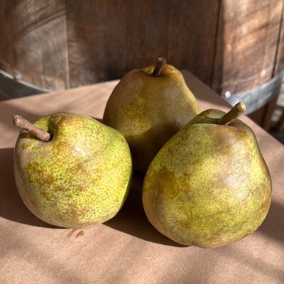 西洋梨(ラ・フランス)3kg　特秀品　0065-2608