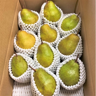 西洋梨(シルバーベル)5kg　ご家庭用　0065-2509